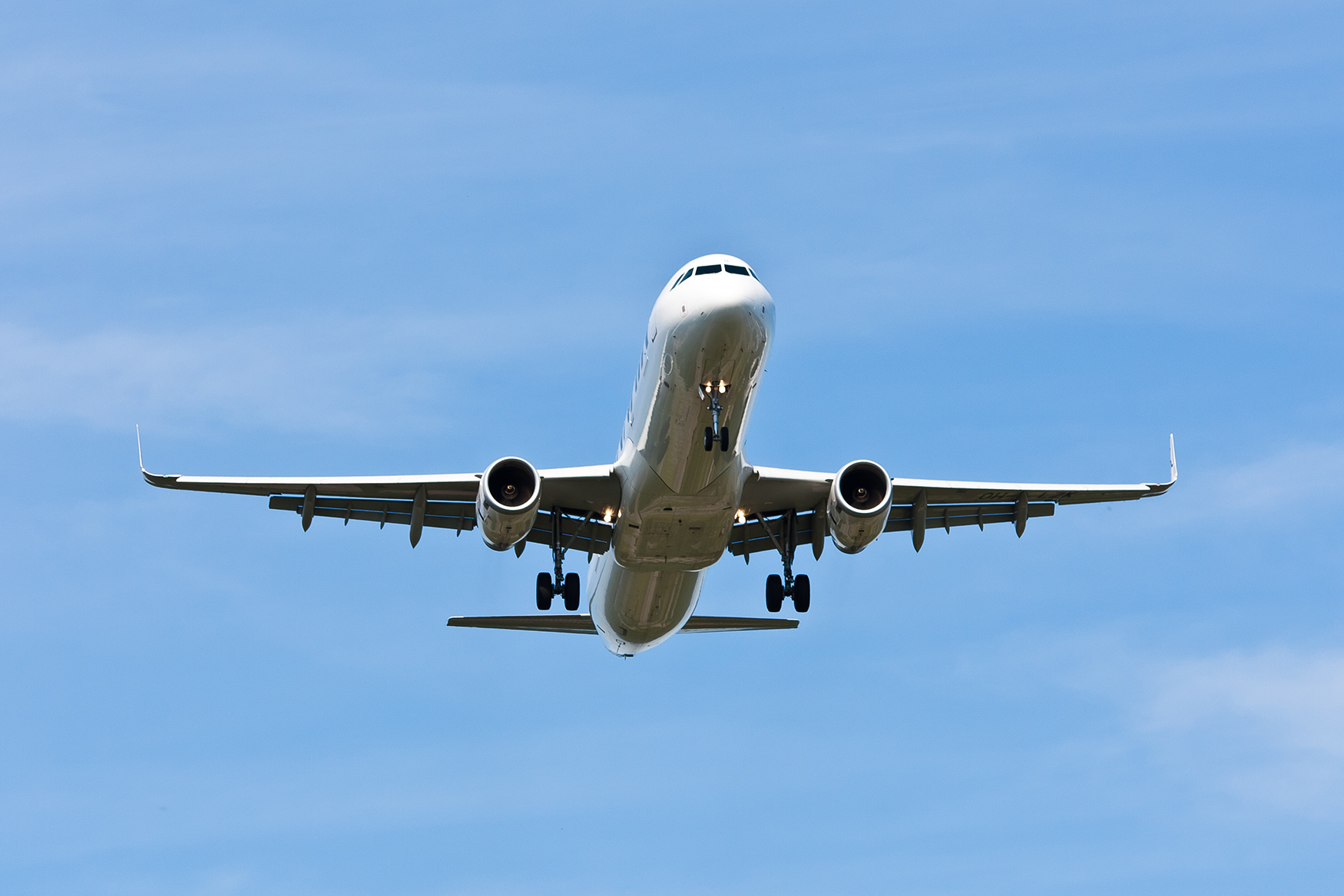 plane in the sky