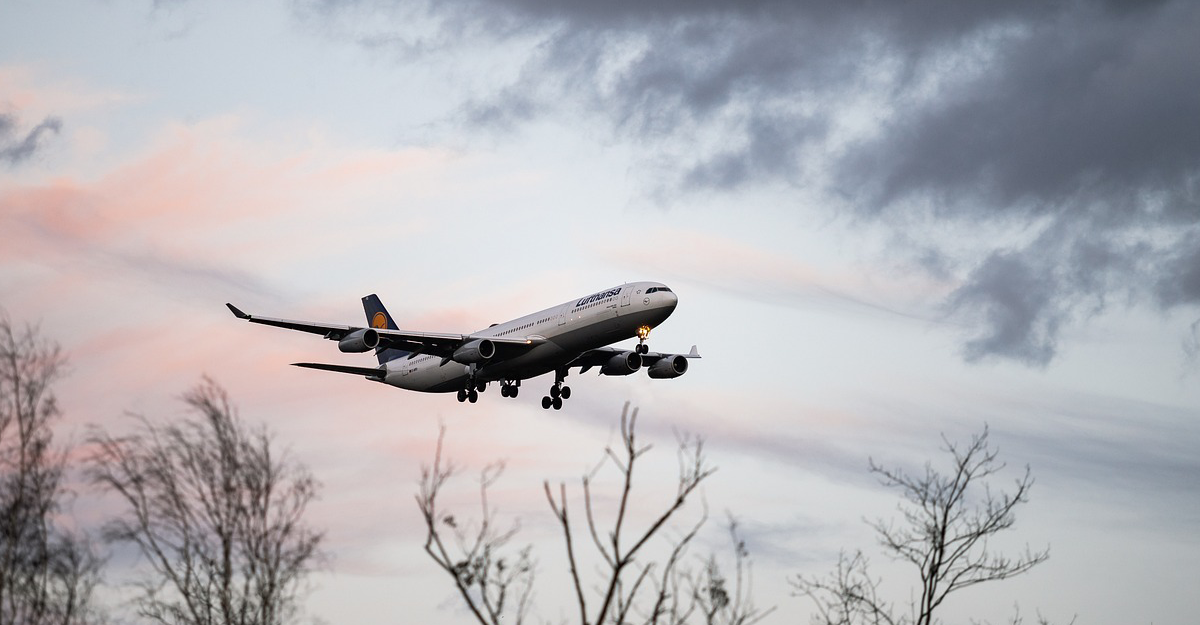 plane in sky