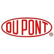 Dupont Thixon 405 Clear Bonding Adhesive 1USG Can