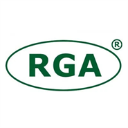 RGA AG433 Aramid Fibre Heat Resistant Glove 33cm